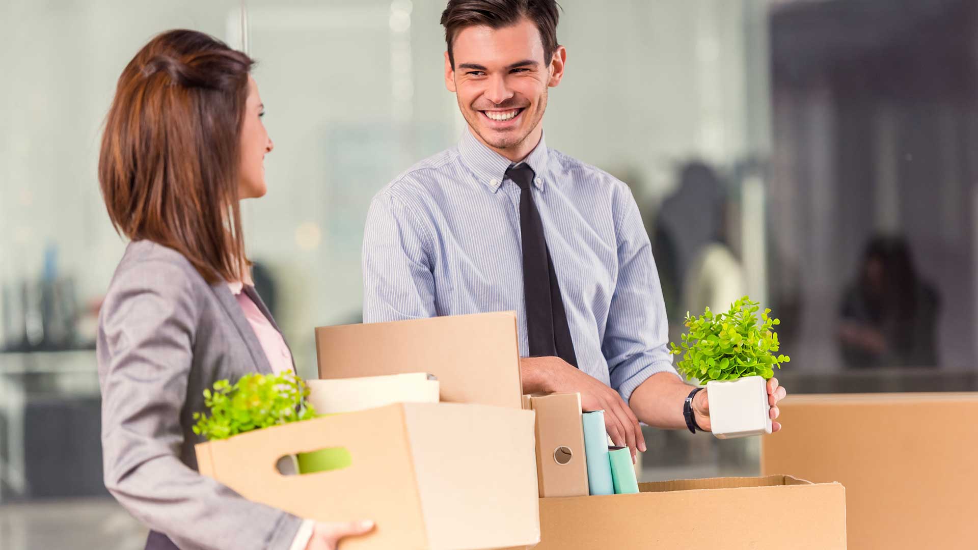 Commercial Removal Experts