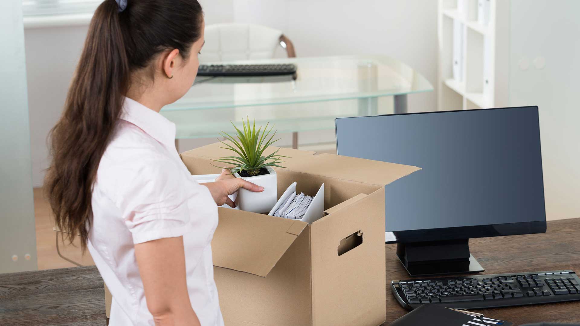 Office Removals Services